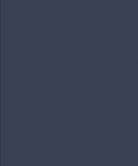 WS-FY106